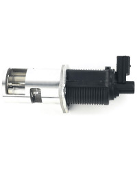 Vanne EGR, 8200004883